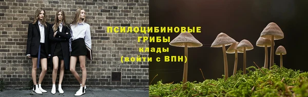 первитин Инсар