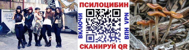 Купить где  Беломорск  Псилоцибиновые грибы мухоморы 
